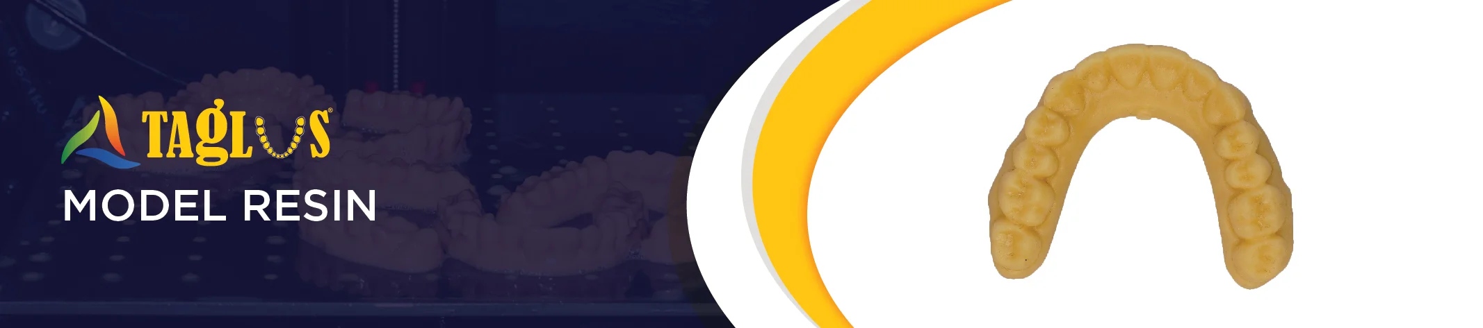 model_banners-06 model_banners-06